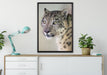 aufmerksamer Schneeleopard auf Leinwandbild gerahmt verschiedene Größen im Wohnzimmer