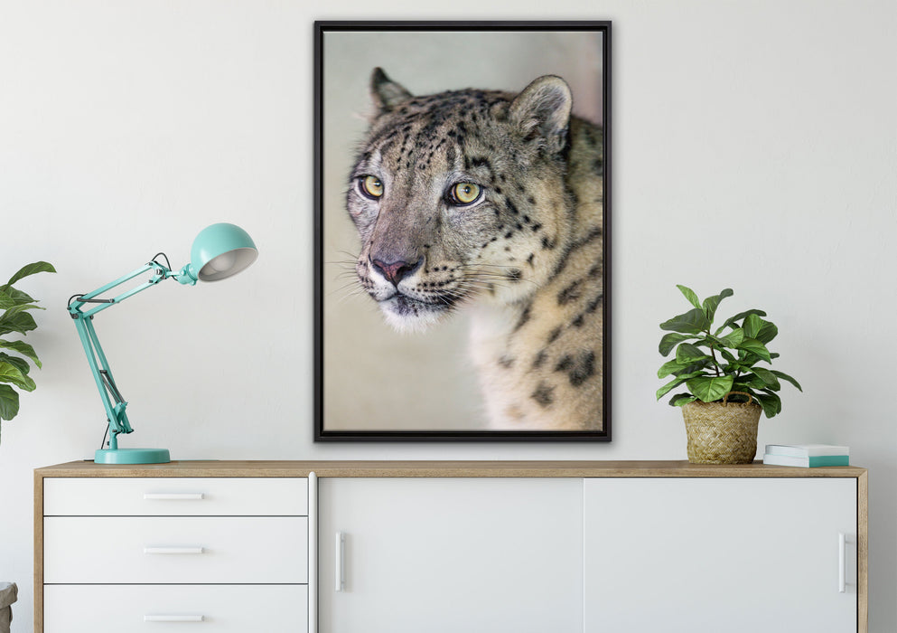 aufmerksamer Schneeleopard auf Leinwandbild gerahmt verschiedene Größen im Wohnzimmer