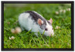 kleine Maus auf Blumenwiese auf Leinwandbild gerahmt Größe 60x40