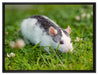 kleine Maus auf Blumenwiese auf Leinwandbild gerahmt Größe 80x60