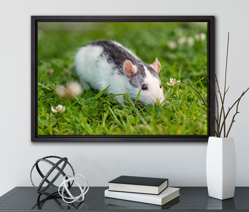 kleine Maus auf Blumenwiese auf Leinwandbild gerahmt mit Kirschblüten