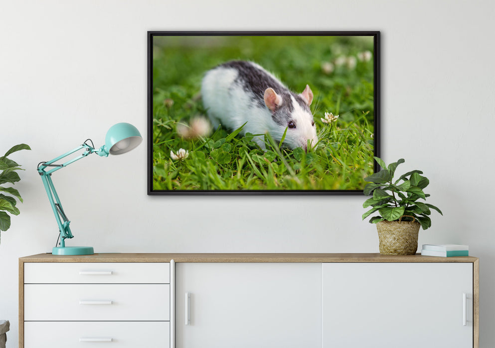 kleine Maus auf Blumenwiese auf Leinwandbild gerahmt verschiedene Größen im Wohnzimmer