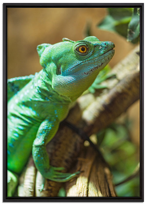 grünes Chamäleon auf Leinwandbild gerahmt Größe 100x70