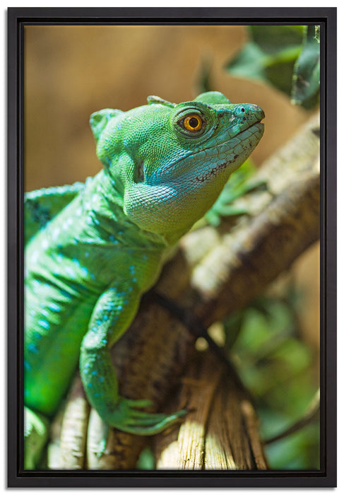 grünes Chamäleon auf Leinwandbild gerahmt Größe 60x40