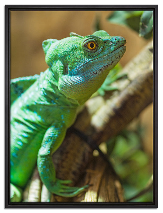 grünes Chamäleon auf Leinwandbild gerahmt Größe 80x60