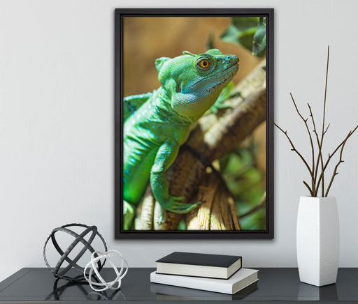 grünes Chamäleon auf Leinwandbild gerahmt mit Kirschblüten
