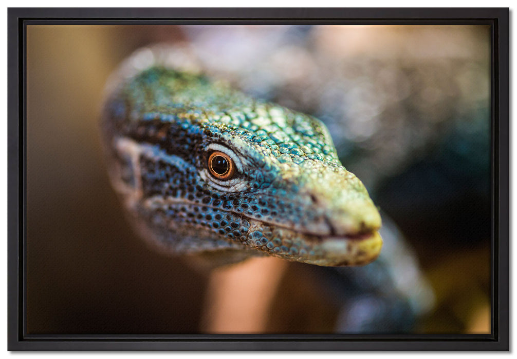 farbenfroher Waran auf Leinwandbild gerahmt Größe 60x40