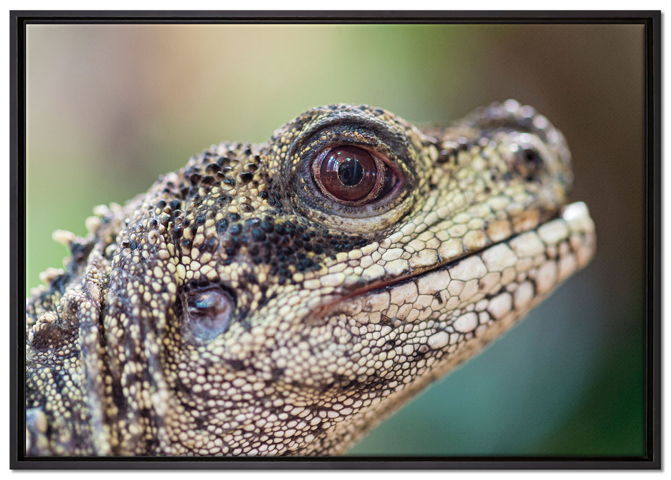 großer Schuppenwaran auf Leinwandbild gerahmt Größe 100x70