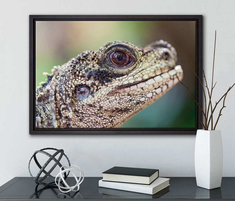 großer Schuppenwaran auf Leinwandbild gerahmt mit Kirschblüten