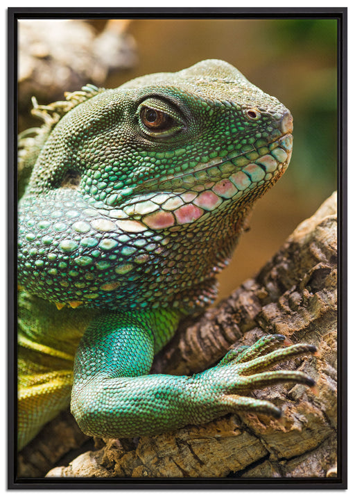 großes grünes Chamäleon auf Leinwandbild gerahmt Größe 100x70