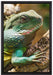 großes grünes Chamäleon auf Leinwandbild gerahmt Größe 60x40