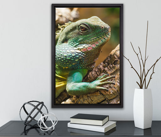 großes grünes Chamäleon auf Leinwandbild gerahmt mit Kirschblüten