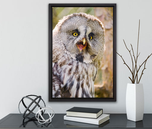prächtiger Habichtskauz auf Leinwandbild gerahmt mit Kirschblüten