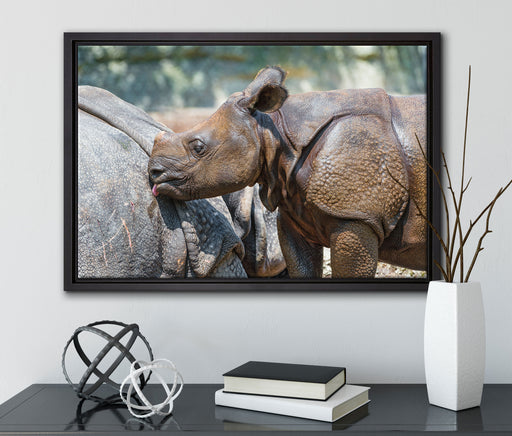 junges Nashorn auf Leinwandbild gerahmt mit Kirschblüten