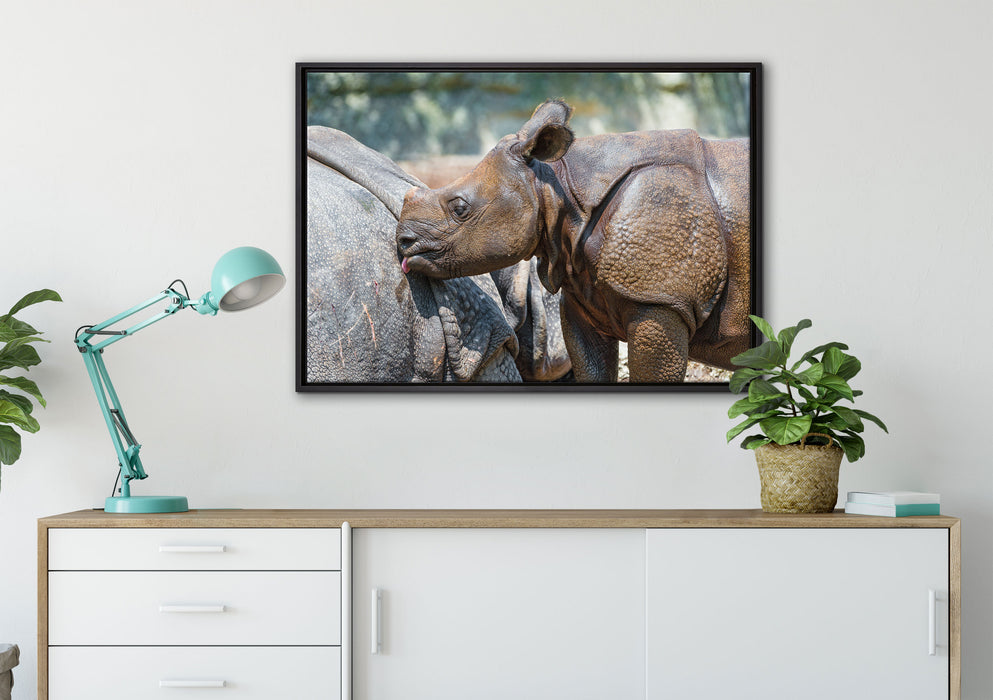 junges Nashorn auf Leinwandbild gerahmt verschiedene Größen im Wohnzimmer