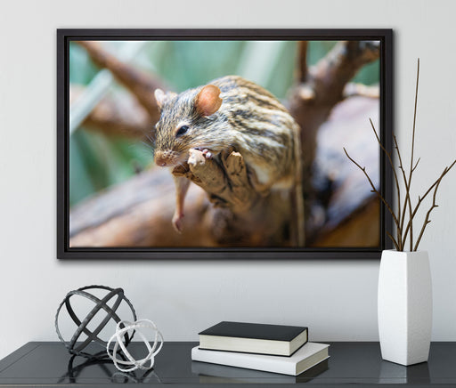 ruhende Feldmaus auf Leinwandbild gerahmt mit Kirschblüten