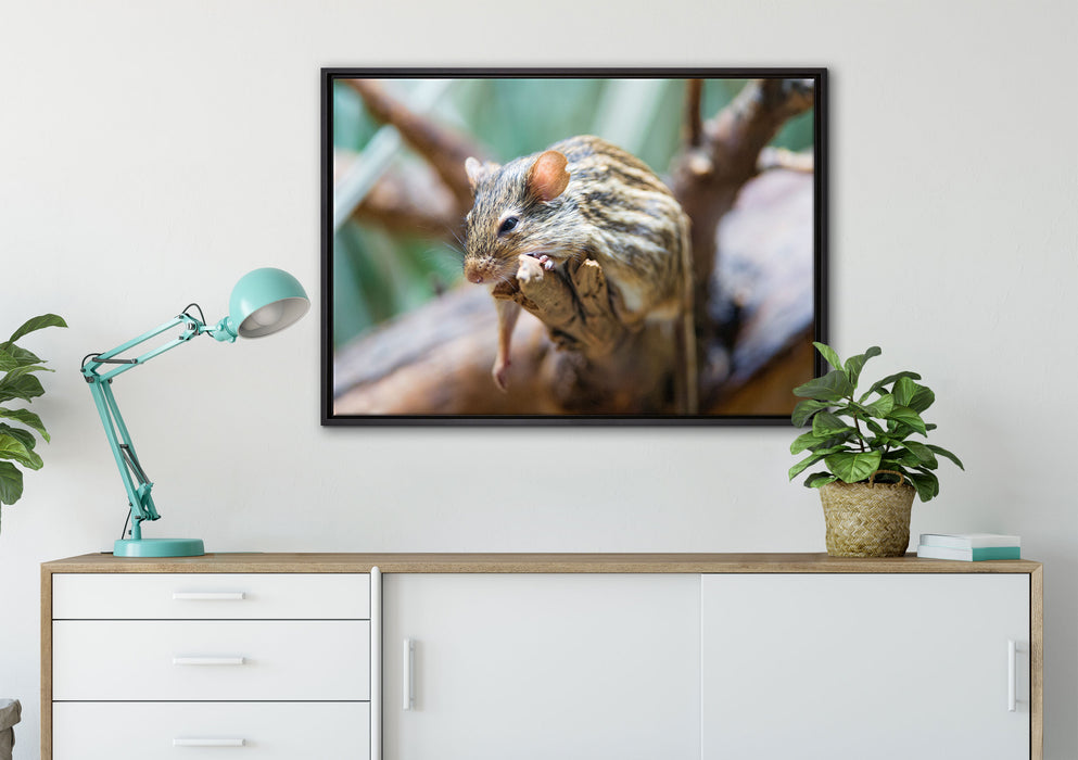 ruhende Feldmaus auf Leinwandbild gerahmt verschiedene Größen im Wohnzimmer