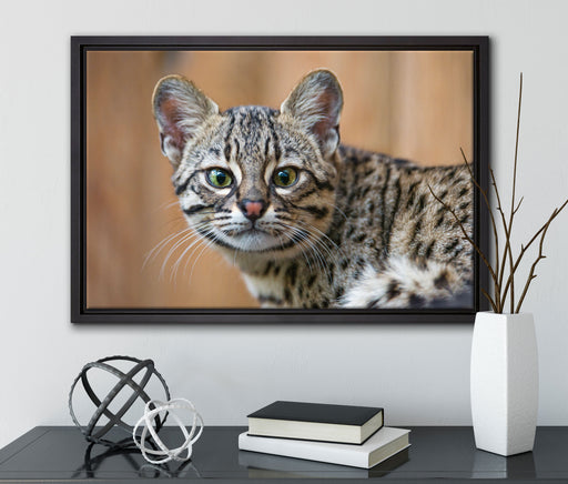 kleine Bengalkatze auf Leinwandbild gerahmt mit Kirschblüten