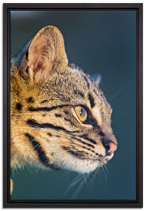Bengalkatze im Profil auf Leinwandbild gerahmt Größe 60x40