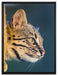 Bengalkatze im Profil auf Leinwandbild gerahmt Größe 80x60