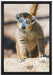 kleiner Sifaka auf Leinwandbild gerahmt Größe 60x40
