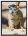 kleiner Sifaka auf Leinwandbild gerahmt Größe 80x60