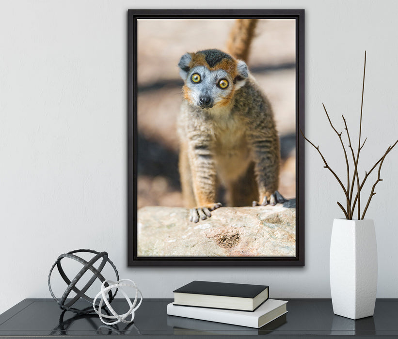 kleiner Sifaka auf Leinwandbild gerahmt mit Kirschblüten