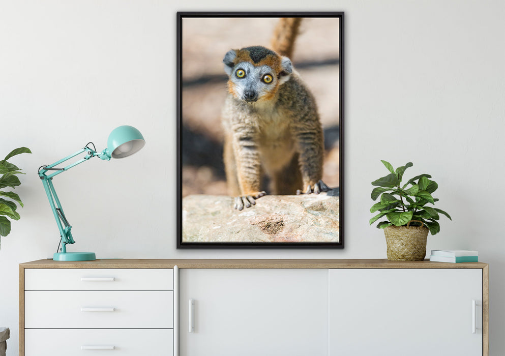 kleiner Sifaka auf Leinwandbild gerahmt verschiedene Größen im Wohnzimmer