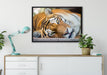ruhender Tiger auf Leinwandbild gerahmt verschiedene Größen im Wohnzimmer