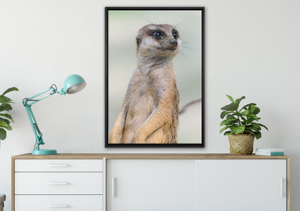 aufmerksames Erdmännchen auf Leinwandbild gerahmt verschiedene Größen im Wohnzimmer