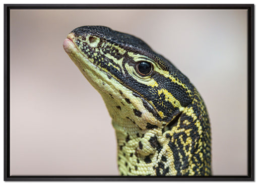 wachsamer Leguan auf Leinwandbild gerahmt Größe 100x70