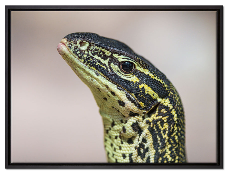 wachsamer Leguan auf Leinwandbild gerahmt Größe 80x60