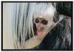 kleines Colobus-Äffchen auf Leinwandbild gerahmt Größe 100x70