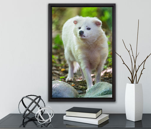 niedlicher Polarfuchs auf Leinwandbild gerahmt mit Kirschblüten