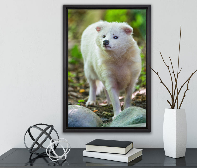 niedlicher Polarfuchs auf Leinwandbild gerahmt mit Kirschblüten