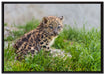 junger Leopard im Gras auf Leinwandbild gerahmt Größe 100x70