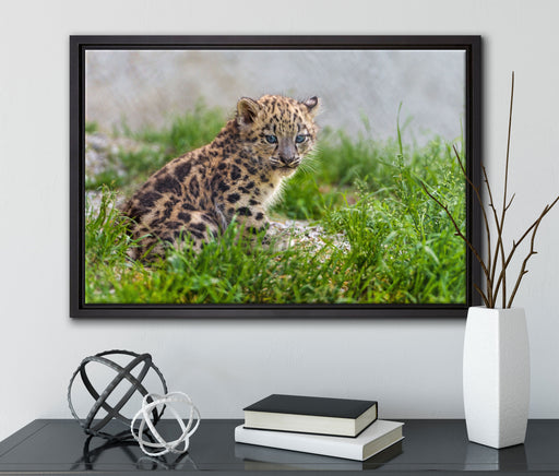 junger Leopard im Gras auf Leinwandbild gerahmt mit Kirschblüten