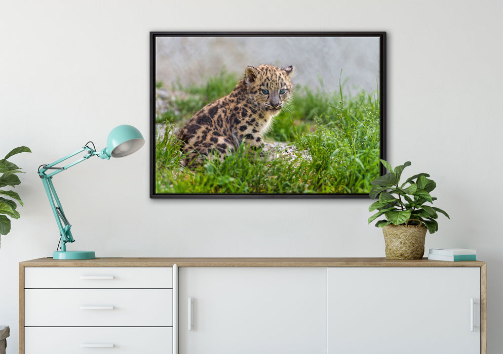 junger Leopard im Gras auf Leinwandbild gerahmt verschiedene Größen im Wohnzimmer