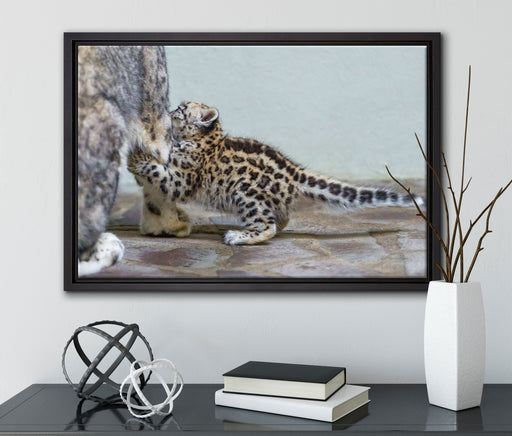 kleiner Leopard beim Spielen auf Leinwandbild gerahmt mit Kirschblüten