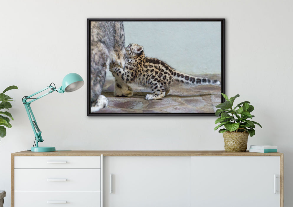 kleiner Leopard beim Spielen auf Leinwandbild gerahmt verschiedene Größen im Wohnzimmer