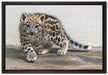 stolzierendes Leopardenjunges auf Leinwandbild gerahmt Größe 60x40