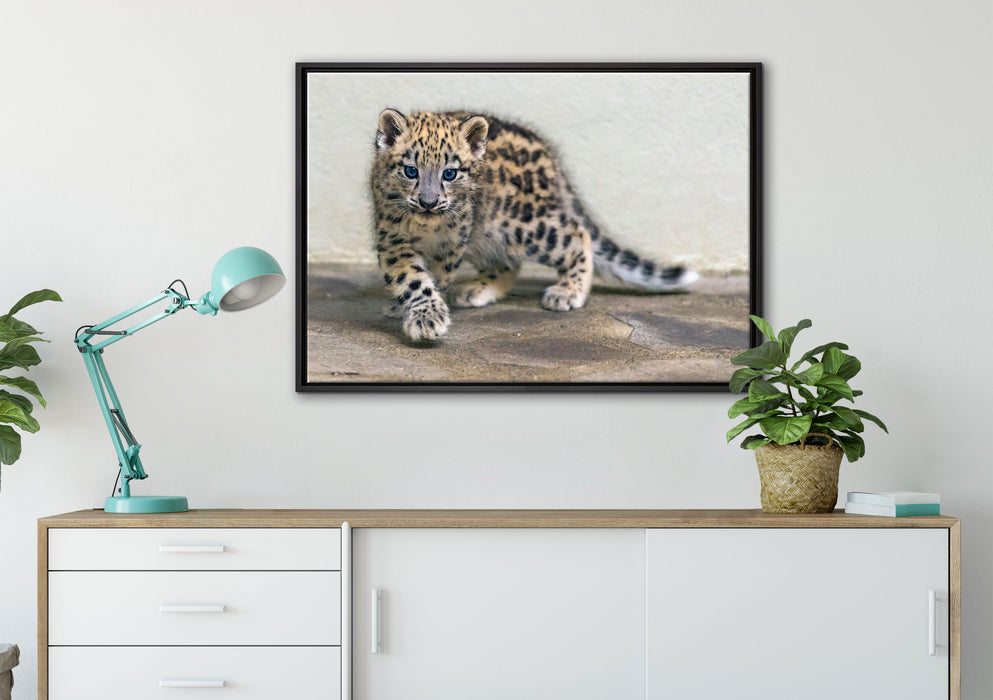 stolzierendes Leopardenjunges auf Leinwandbild gerahmt verschiedene Größen im Wohnzimmer