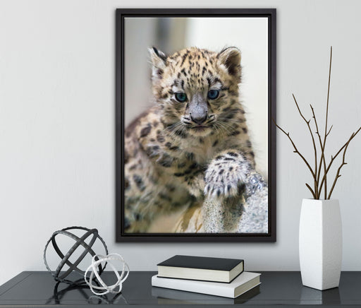 Leopardenjunges beim Klettern auf Leinwandbild gerahmt mit Kirschblüten