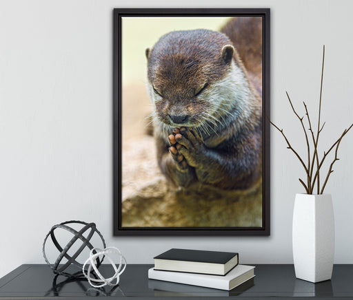 anmutiger Zwergotter auf Leinwandbild gerahmt mit Kirschblüten