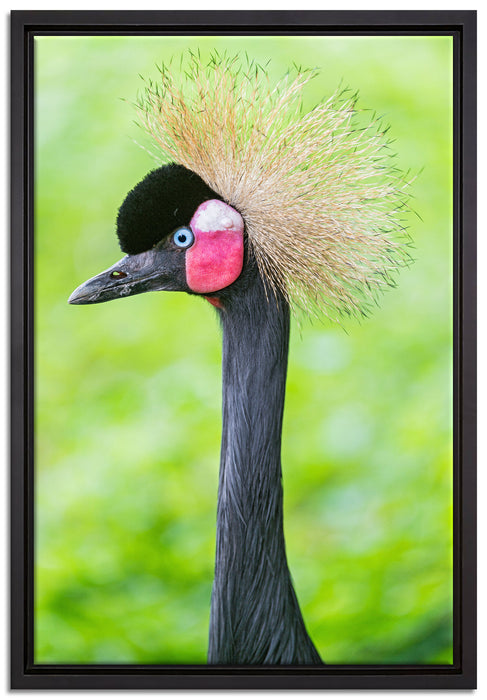 Kronenkranich im Seitenprofil auf Leinwandbild gerahmt Größe 60x40