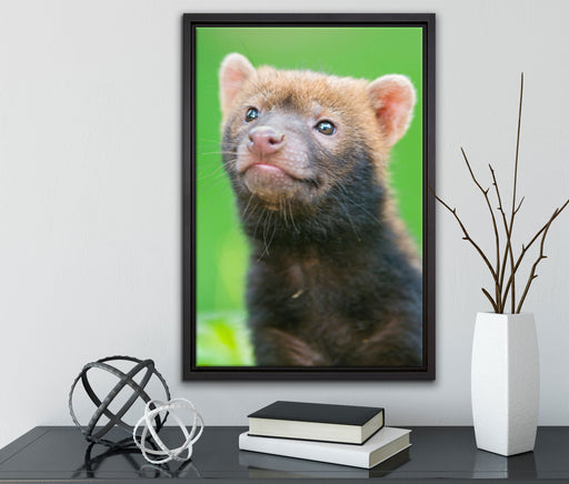 freches Frettchen auf Leinwandbild gerahmt mit Kirschblüten