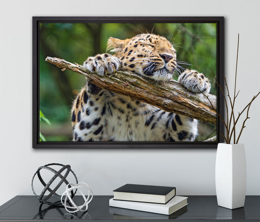 verspielter Leopard auf Leinwandbild gerahmt mit Kirschblüten