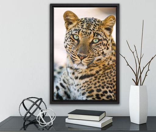 schöner Leopard auf Leinwandbild gerahmt mit Kirschblüten