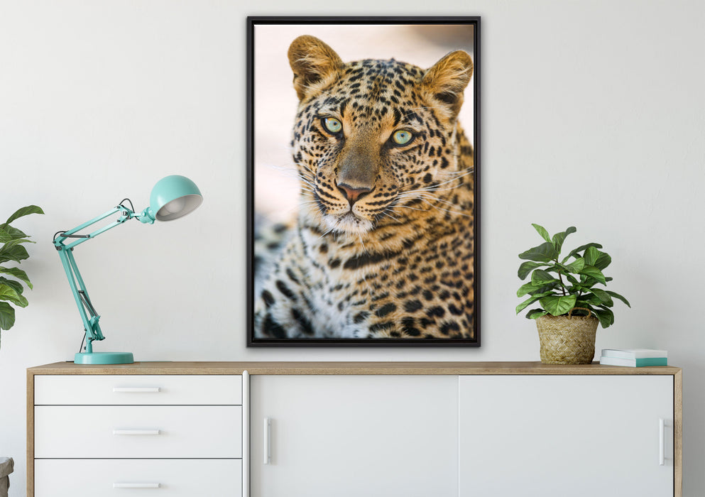 schöner Leopard auf Leinwandbild gerahmt verschiedene Größen im Wohnzimmer