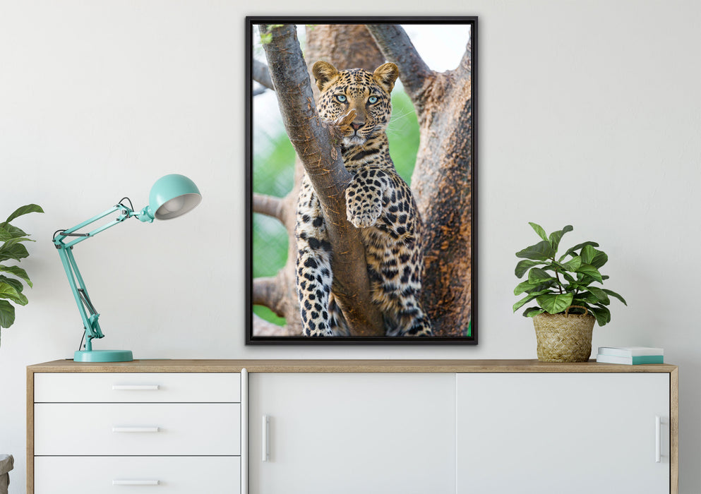 majestätischer Leopard auf Baum auf Leinwandbild gerahmt verschiedene Größen im Wohnzimmer